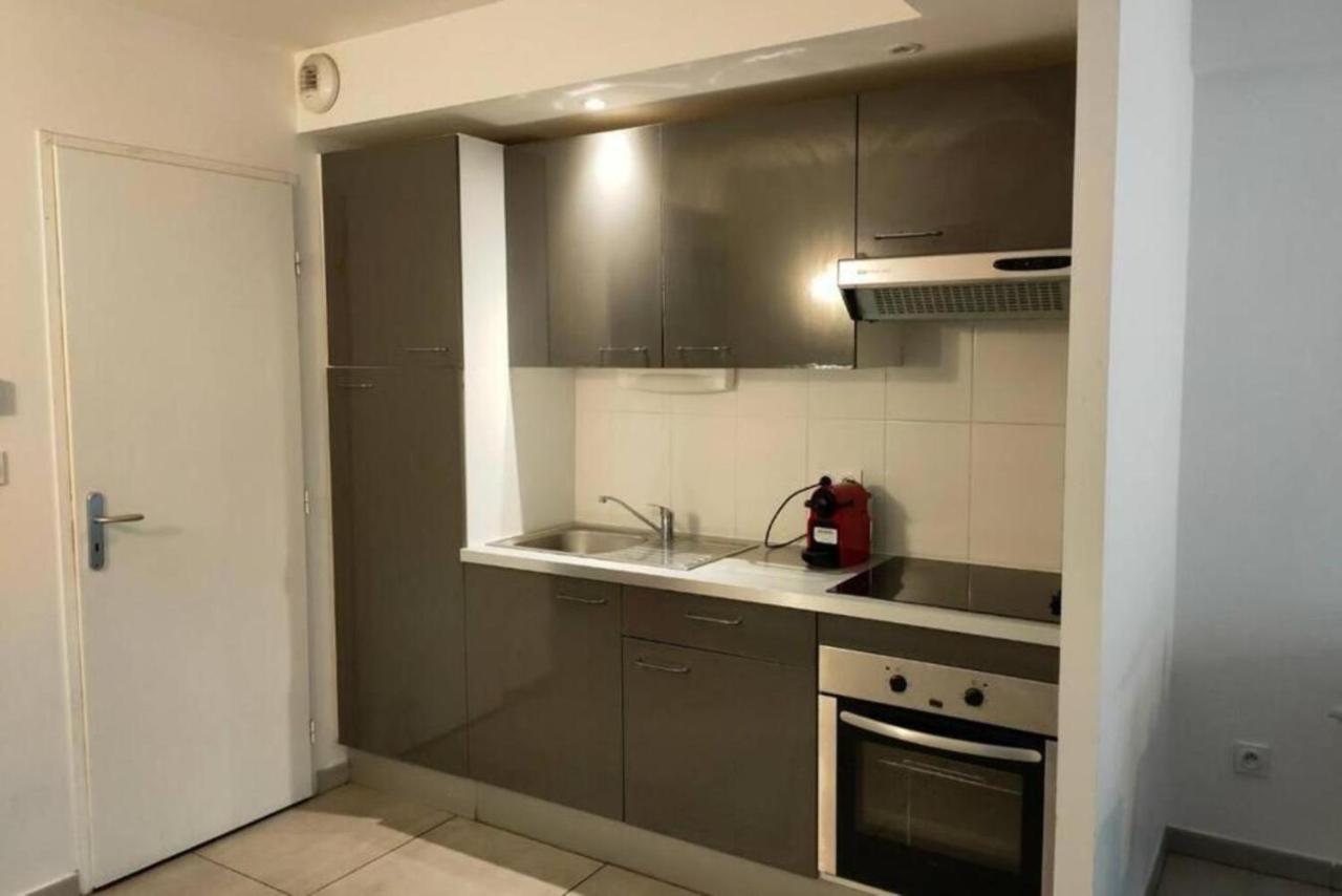 203 Duplex Jeanne D'Arc Apartment Тулуза Екстериор снимка